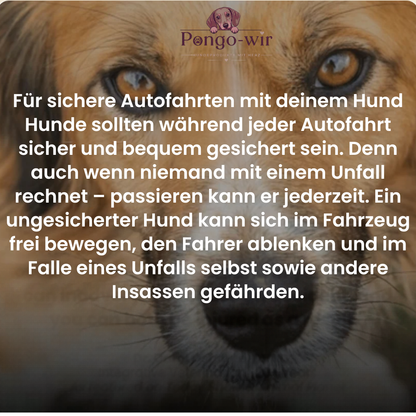 Pongo-wir-Autohundebett