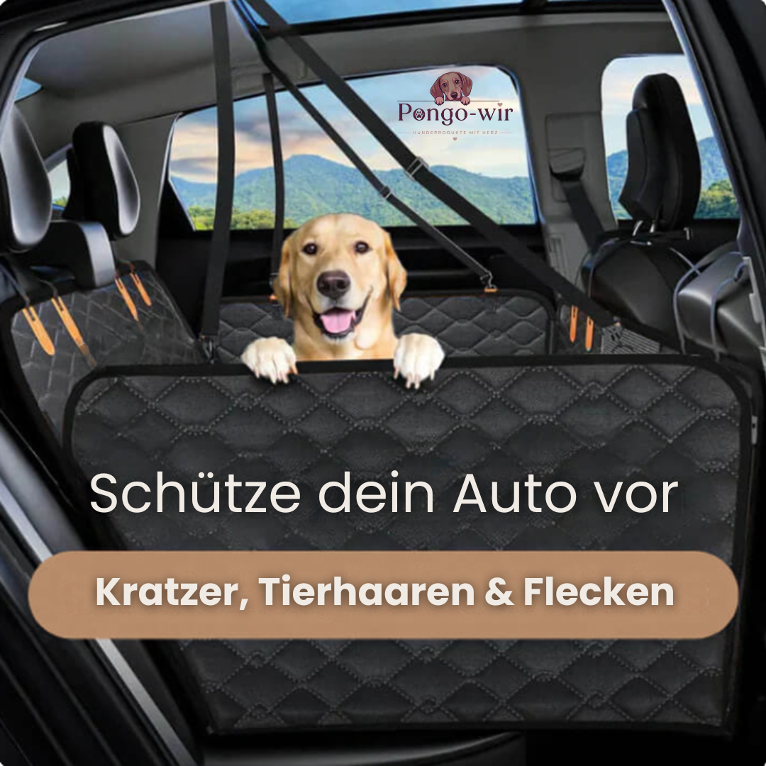 Pongo-wir-Autohundebett