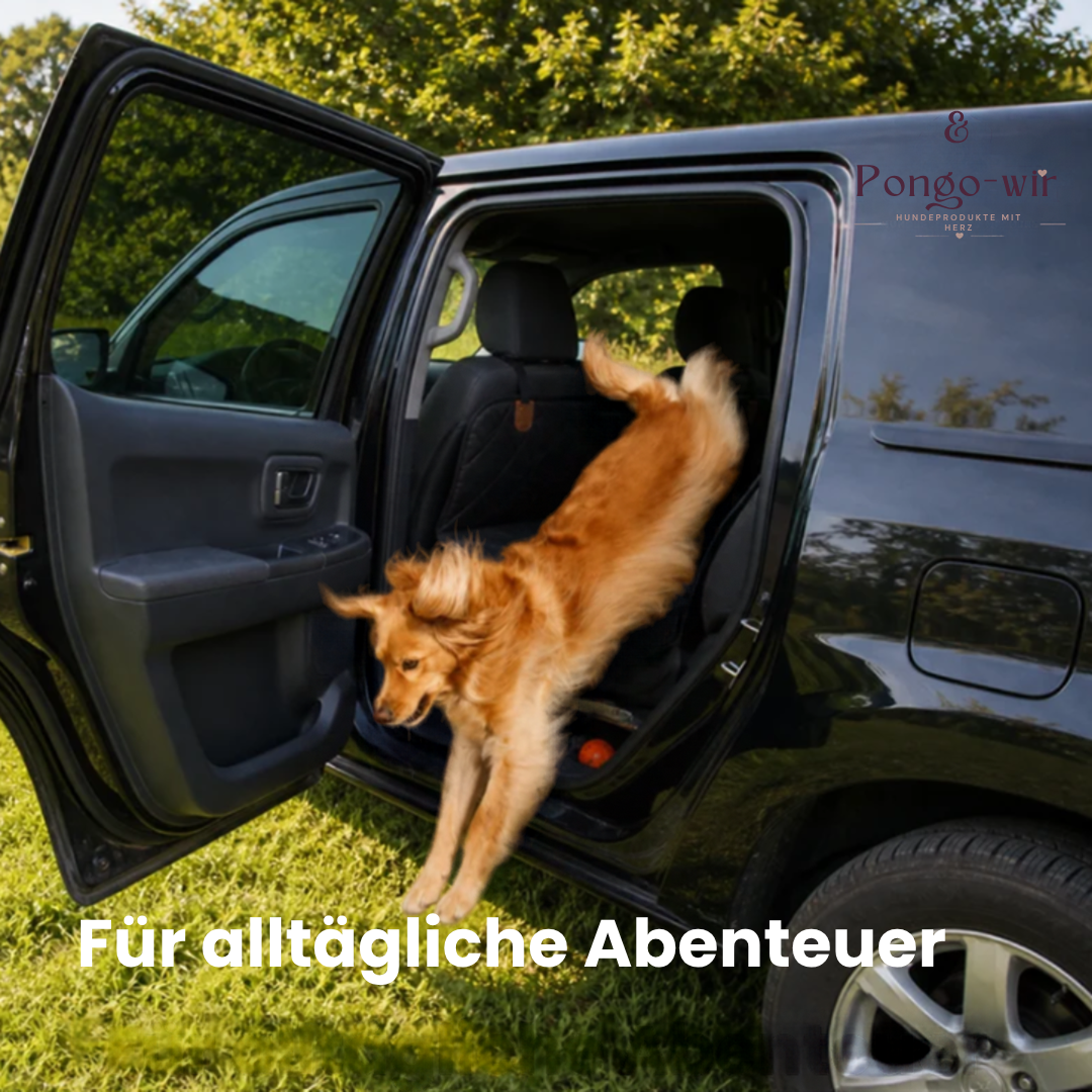 Pongo-wir-Autohundebett