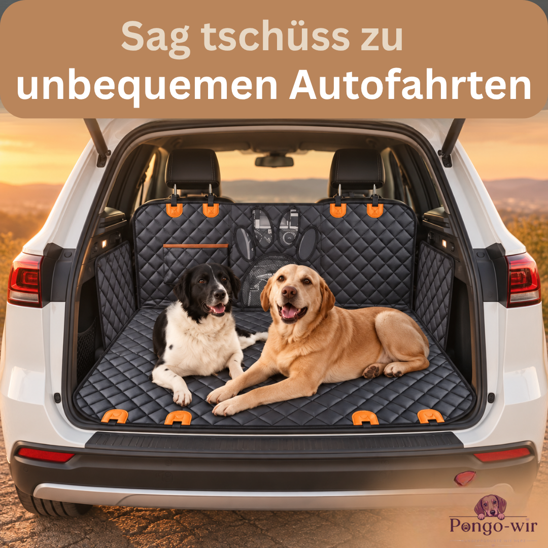 Pongo-wir-Autohundebett